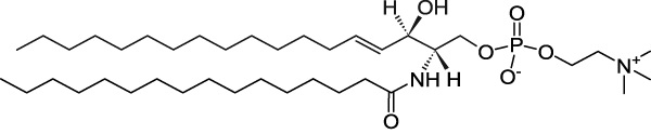 鞘磷脂.jpg