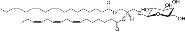 植物叶脂.jpg